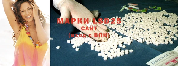 СК Покачи